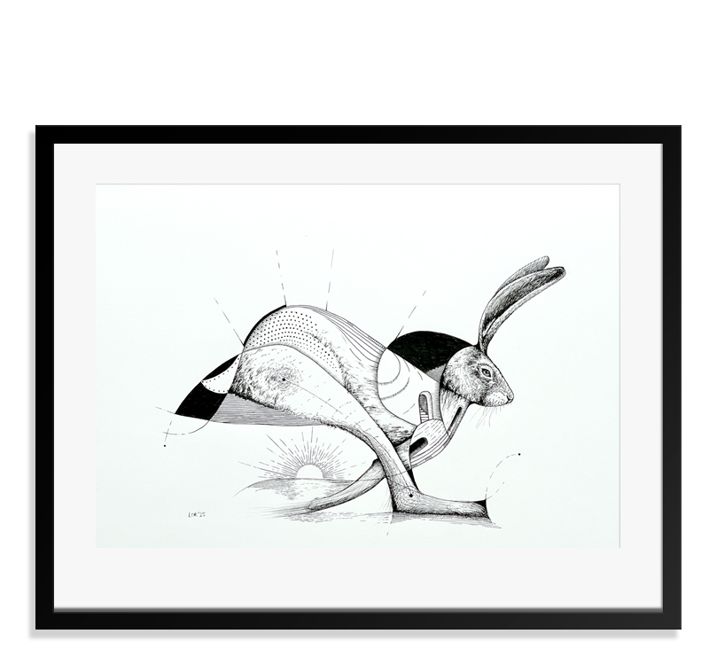 Hase
